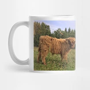 Scottish Highland Cattle Calf 1524 Mug